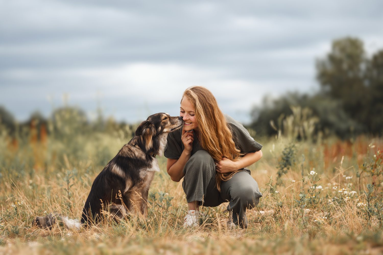 Câlin avec un chien dans un champ