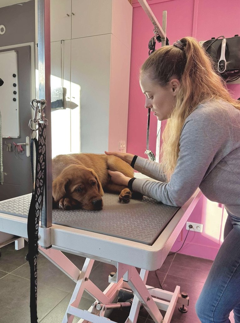 Chiot allongé sur une table de soins, aux côtés d'Agathe