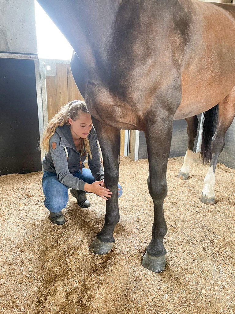 Agathe Bouguet accroupie près des membres d'un cheval, en écurie